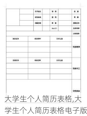 大学生个人简历表格,大学生个人简历表格电子版