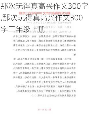 那次玩得真高兴作文300字,那次玩得真高兴作文300字三年级上册-第1张图片-安安范文网