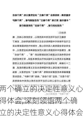 两个确立的决定性意义心得体会,深刻领悟两个确立的决定性意义心得体会-第1张图片-安安范文网