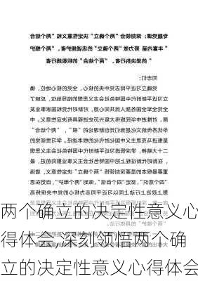 两个确立的决定性意义心得体会,深刻领悟两个确立的决定性意义心得体会-第2张图片-安安范文网