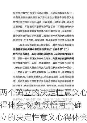 两个确立的决定性意义心得体会,深刻领悟两个确立的决定性意义心得体会-第3张图片-安安范文网