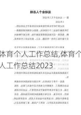 体育个人工作总结,体育个人工作总结2023-第3张图片-安安范文网