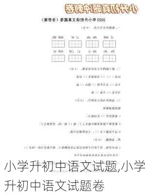 小学升初中语文试题,小学升初中语文试题卷-第3张图片-安安范文网