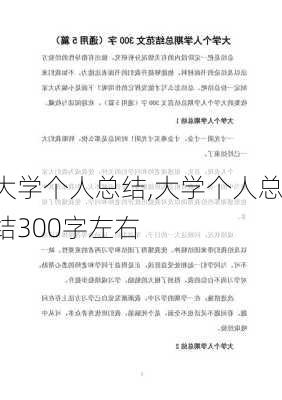 大学个人总结,大学个人总结300字左右-第2张图片-安安范文网