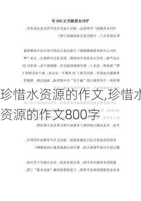 珍惜水资源的作文,珍惜水资源的作文800字-第1张图片-安安范文网