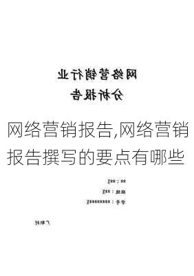 网络营销报告,网络营销报告撰写的要点有哪些-第2张图片-安安范文网