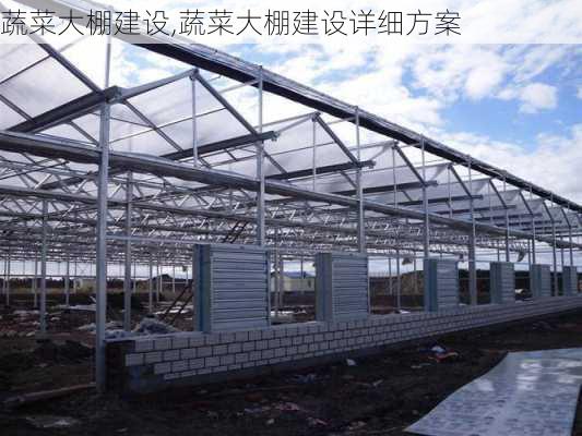 蔬菜大棚建设,蔬菜大棚建设详细方案-第2张图片-安安范文网