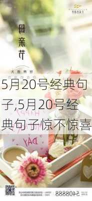 5月20号经典句子,5月20号经典句子惊不惊喜