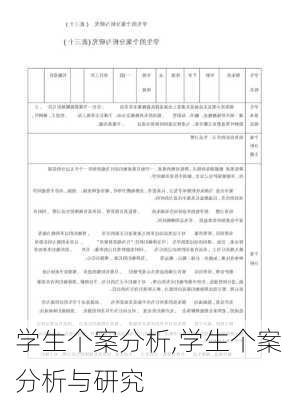 学生个案分析,学生个案分析与研究-第2张图片-安安范文网