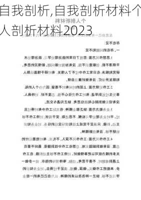 自我剖析,自我剖析材料个人剖析材料2023-第2张图片-安安范文网