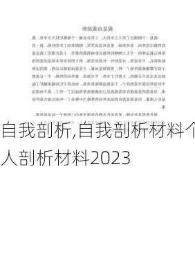 自我剖析,自我剖析材料个人剖析材料2023-第3张图片-安安范文网