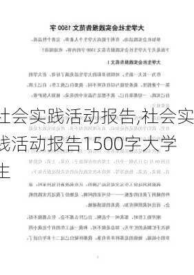 社会实践活动报告,社会实践活动报告1500字大学生-第2张图片-安安范文网