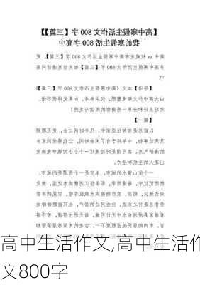 高中生活作文,高中生活作文800字-第3张图片-安安范文网