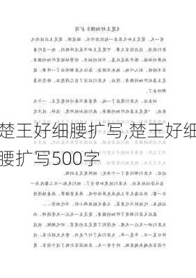 楚王好细腰扩写,楚王好细腰扩写500字-第3张图片-安安范文网