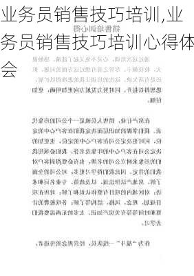 业务员销售技巧培训,业务员销售技巧培训心得体会-第2张图片-安安范文网