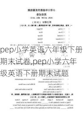 pep小学英语六年级下册期末试卷,pep小学六年级英语下册期末试题-第2张图片-安安范文网