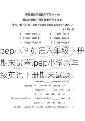 pep小学英语六年级下册期末试卷,pep小学六年级英语下册期末试题