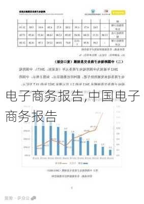 电子商务报告,中国电子商务报告-第1张图片-安安范文网