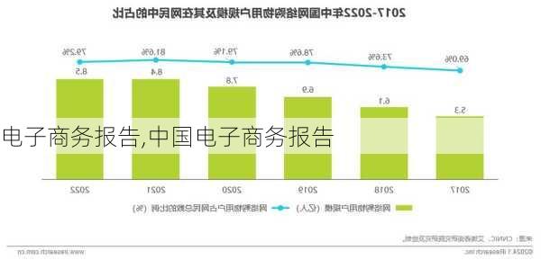 电子商务报告,中国电子商务报告-第2张图片-安安范文网