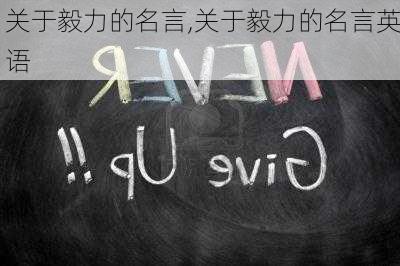 关于毅力的名言,关于毅力的名言英语-第2张图片-安安范文网