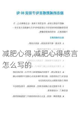 减肥心得,减肥心得感言怎么写的-第2张图片-安安范文网