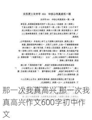 那一次我真高兴,那一次我真高兴作文600字初中作文-第2张图片-安安范文网