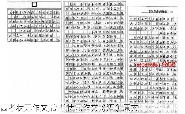 高考状元作文,高考状元作文《酒》原文-第3张图片-安安范文网