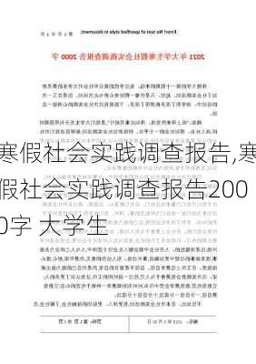 寒假社会实践调查报告,寒假社会实践调查报告2000字 大学生-第1张图片-安安范文网