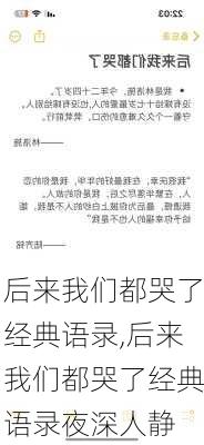 后来我们都哭了经典语录,后来我们都哭了经典语录夜深人静-第3张图片-安安范文网