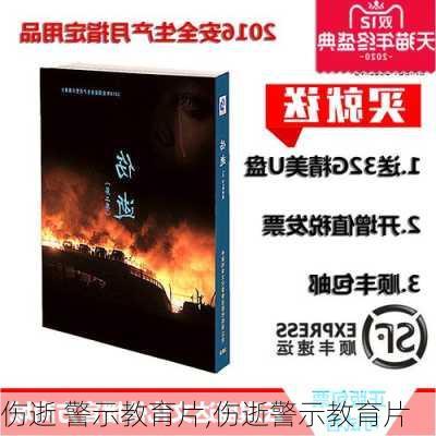 伤逝 警示教育片,伤逝警示教育片-第2张图片-安安范文网