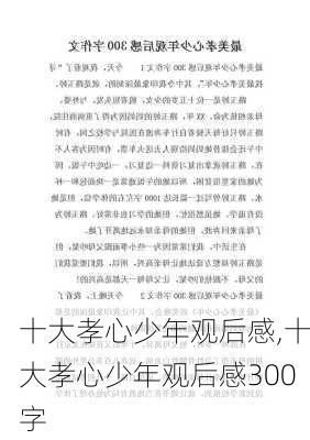 十大孝心少年观后感,十大孝心少年观后感300字-第2张图片-安安范文网