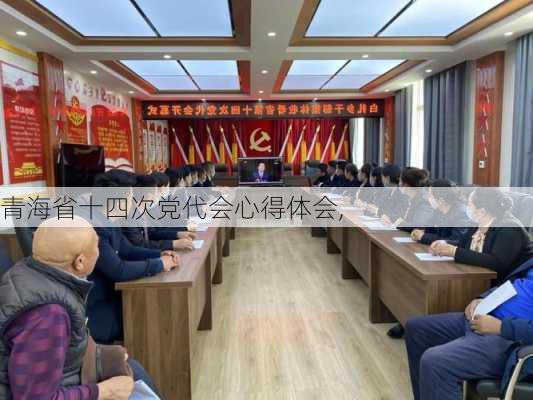 青海省十四次党代会心得体会,-第1张图片-安安范文网