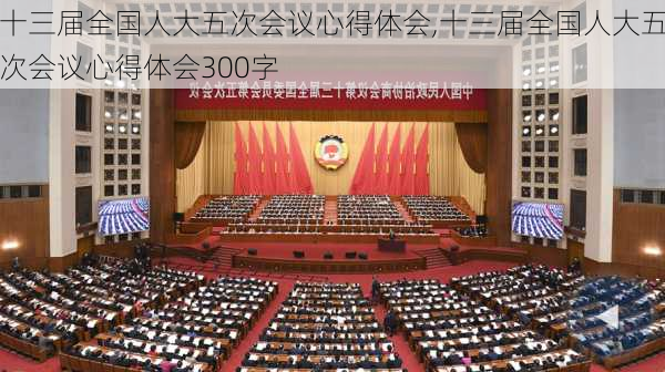 十三届全国人大五次会议心得体会,十三届全国人大五次会议心得体会300字-第3张图片-安安范文网