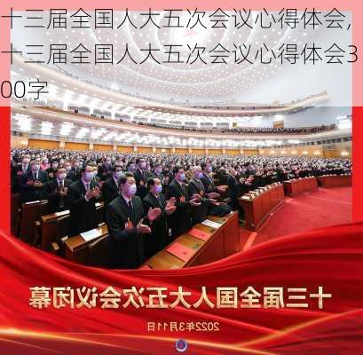 十三届全国人大五次会议心得体会,十三届全国人大五次会议心得体会300字-第2张图片-安安范文网