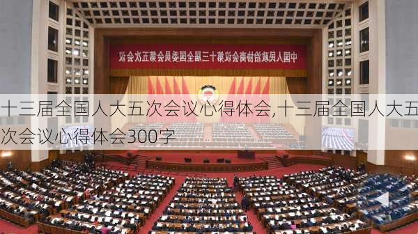 十三届全国人大五次会议心得体会,十三届全国人大五次会议心得体会300字-第3张图片-安安范文网