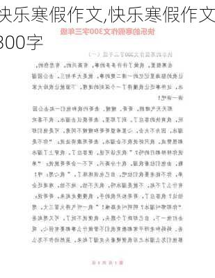 快乐寒假作文,快乐寒假作文300字