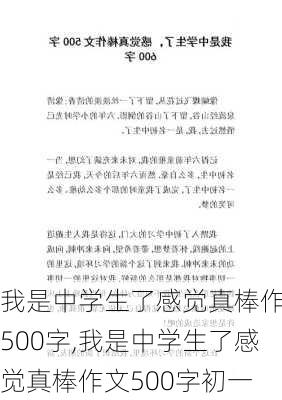 我是中学生了感觉真棒作文500字,我是中学生了感觉真棒作文500字初一-第2张图片-安安范文网