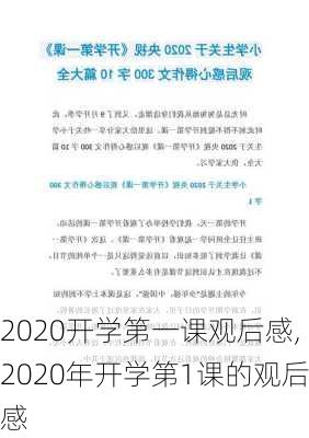 2020开学第一课观后感,2020年开学第1课的观后感-第1张图片-安安范文网