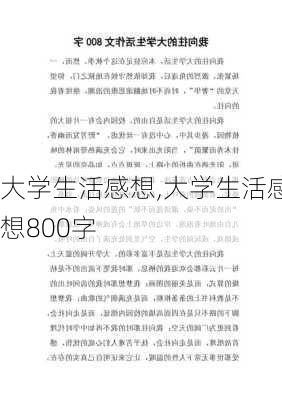 大学生活感想,大学生活感想800字