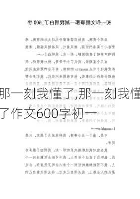 那一刻我懂了,那一刻我懂了作文600字初一