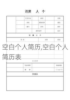 空白个人简历,空白个人简历表-第3张图片-安安范文网