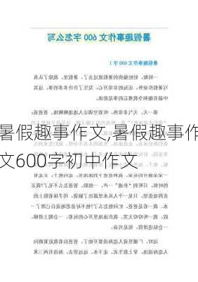 暑假趣事作文,暑假趣事作文600字初中作文-第3张图片-安安范文网