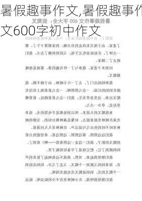 暑假趣事作文,暑假趣事作文600字初中作文-第2张图片-安安范文网