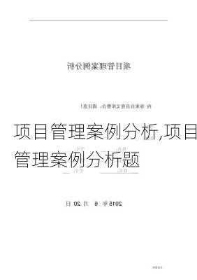 项目管理案例分析,项目管理案例分析题-第2张图片-安安范文网