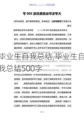 毕业生自我总结,毕业生自我总结500字-第1张图片-安安范文网