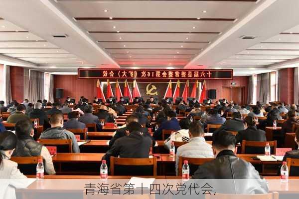 青海省第十四次党代会,-第2张图片-安安范文网