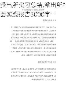 派出所实习总结,派出所社会实践报告3000字-第2张图片-安安范文网