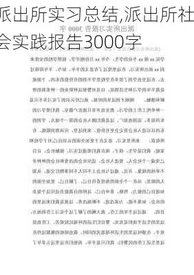 派出所实习总结,派出所社会实践报告3000字-第1张图片-安安范文网