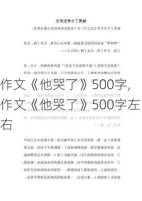 作文《他哭了》500字,作文《他哭了》500字左右-第2张图片-安安范文网