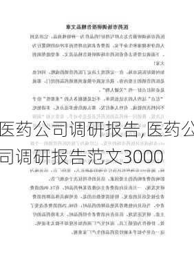 医药公司调研报告,医药公司调研报告范文3000-第3张图片-安安范文网